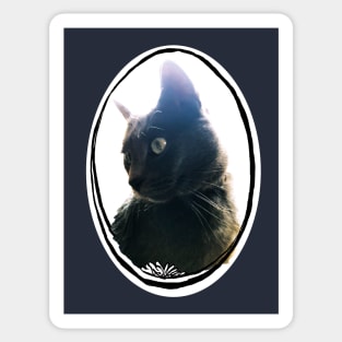 Kitty Cat Head Oval Frame Sticker